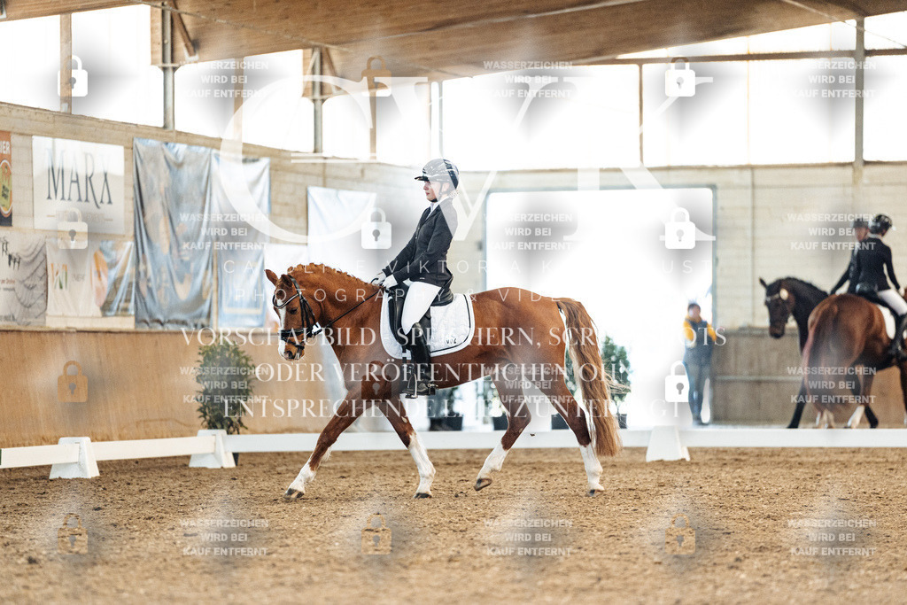 CK908914 | Turnierfotografie Pferdefotografie Trier Rheinland-Pfalz Pferdesport Reitsport Tierfotografie Sportfotografie Pferdevideo Pferdevideografie Equestrianvideography equestrianphotography  - Realisiert mit Pictrs.com