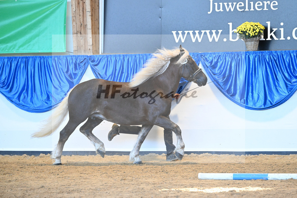 Kat-Nr. 108 Edora_ZG Haefele_53220770 | hf-fotografie - Realizzato con Pictrs.com