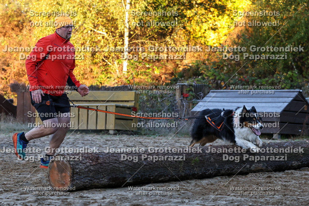 Dog Paparazzi - Strongdog 10-25-433 | Dog Paparazzi Jeanette Grottendiek Fotografie & Videografie