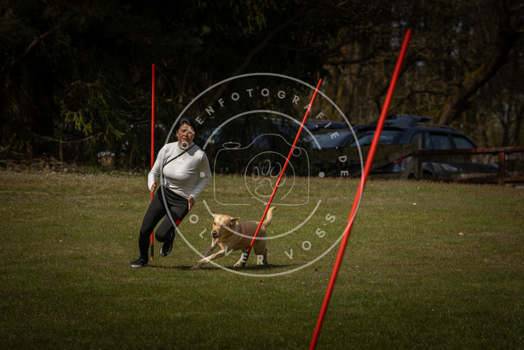 Pfotenfotografie_DV3A4368 | Hundefotografie, Tierfotograf, Pfotenfotografie, Fotoshooting Hund, Hunde Portrait, Hundesport, Hundeportraits, Heideshooting, Hunde, Sportfotograf, Hundefotograf, Turnierhundsport, THS,  - Realisiert mit Pictrs.com