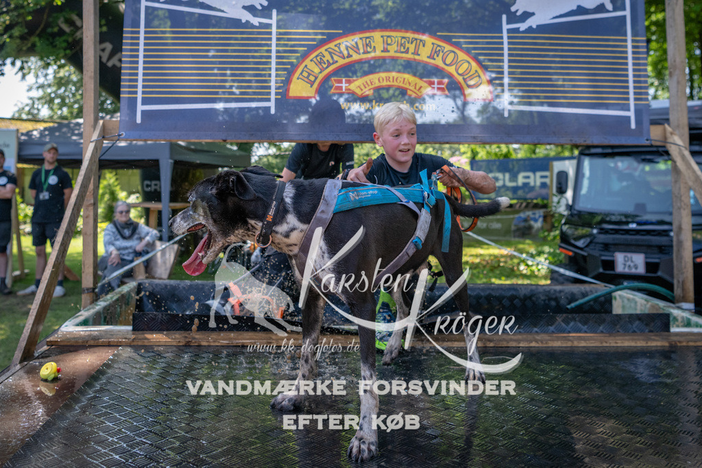 1343_ZZ92149 | kk-dogfotos