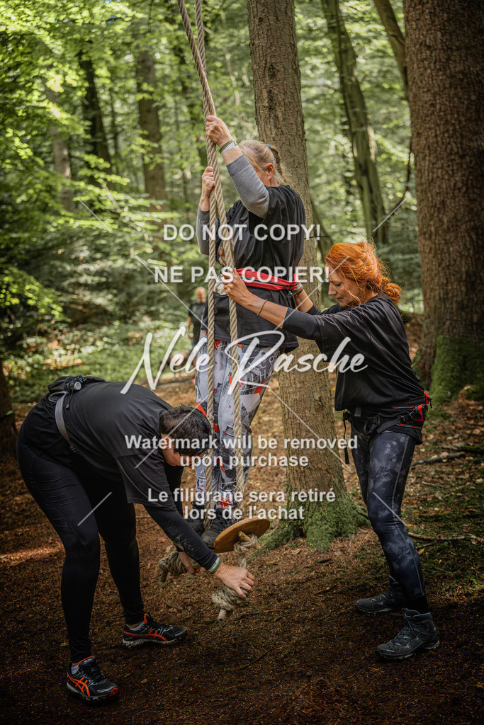 nelerasche_So1230-Ende_220 | nelerasche