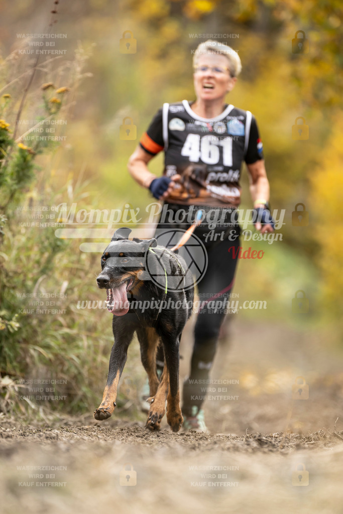 MompixPhotography_ICF_WC_2024_SA_Run_-479 | PayLife