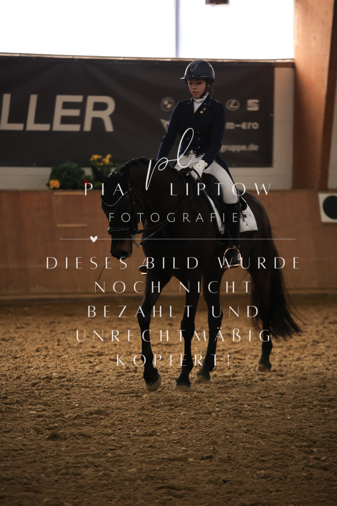 IMGT5419 | pl-fotografie