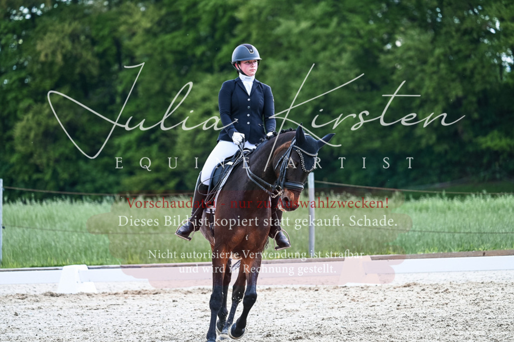 20230513_JK-Röhrsdorf-10-0710 | Pferde- und Turnierfotografie in Westsachsen. Pferdeportraits, Auftragszeichnungen und intuitive Kunst.