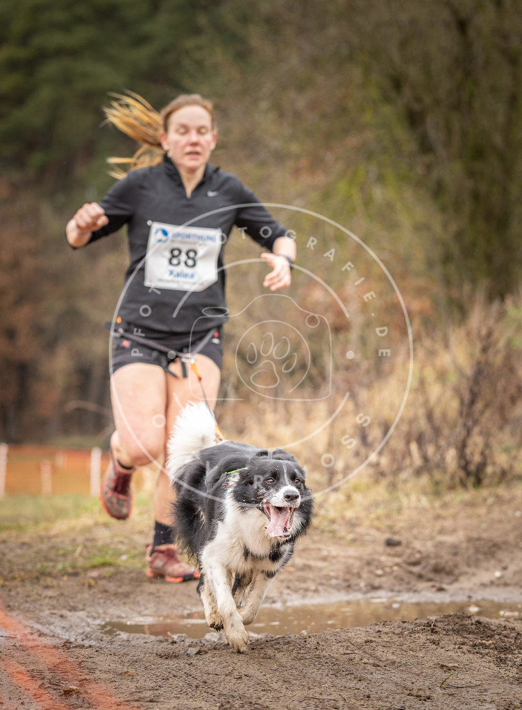 DV3A0392 | Hundefotografie, Tierfotograf, Pfotenfotografie, Fotoshooting Hund, Hunde Portrait, Hundesport, Hundeportraits, Heideshooting, Hunde, Sportfotograf, Hundefotograf, Turnierhundsport, THS,  - Realisiert mit Pictrs.com