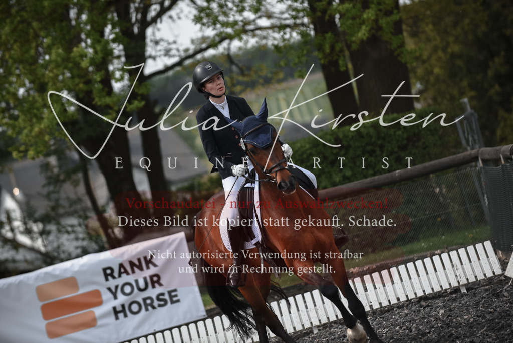 20230513_JK-Röhrsdorf-14-514 | Pferde- und Turnierfotografie in Westsachsen. Pferdeportraits, Auftragszeichnungen und intuitive Kunst.