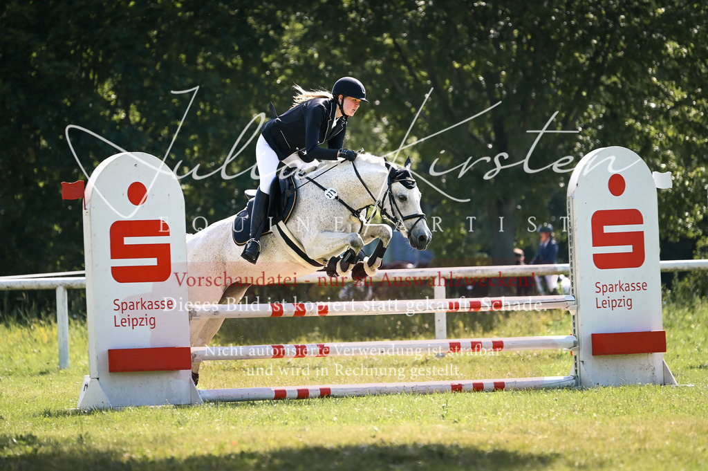 DSC_8727 | Pferde- und Turnierfotografie in Westsachsen. Pferdeportraits, Auftragszeichnungen und intuitive Kunst.