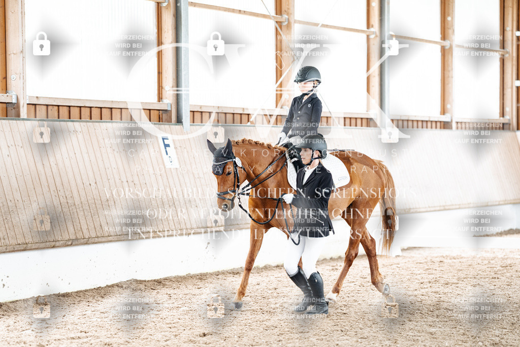 CK901793 | Turnierfotografie Pferdefotografie Trier Rheinland-Pfalz Pferdesport Reitsport Tierfotografie Sportfotografie Pferdevideo Pferdevideografie Equestrianvideography equestrianphotography  - Realisiert mit Pictrs.com