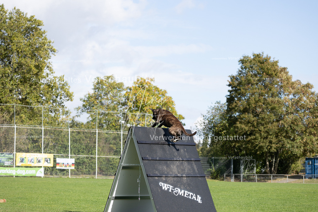 _16A6992 | Einzigartige Fotos von Hunden & Menschen –Actionfotos, Portraits, Vereinsaufnahmen & Paarshootings – authentisch, lebendig & mit Herz.