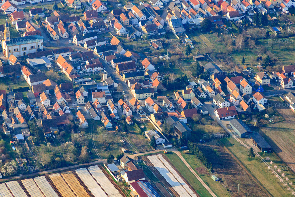Luftbild: Hohesteggasse in Lingenfeld im Bundesland Rheinland-Pfalz in Deutschland. Foto: IMG_49307.jpg vom 28.03.2012 durch Werner Riehm/FLY-FOTO.de