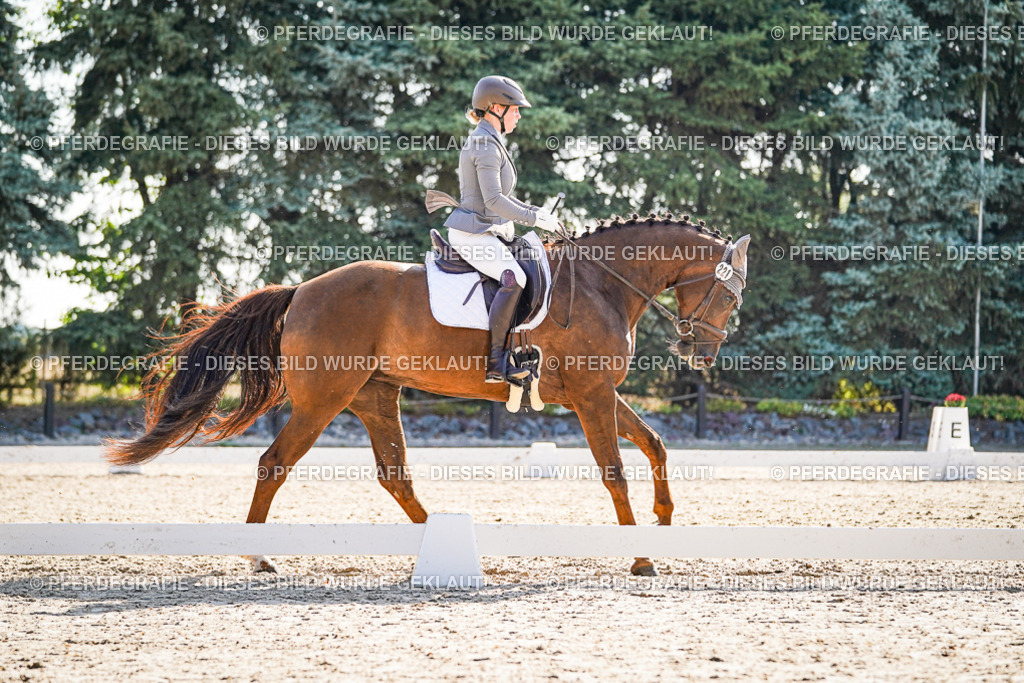 DSC09865 | Pferdegrafie