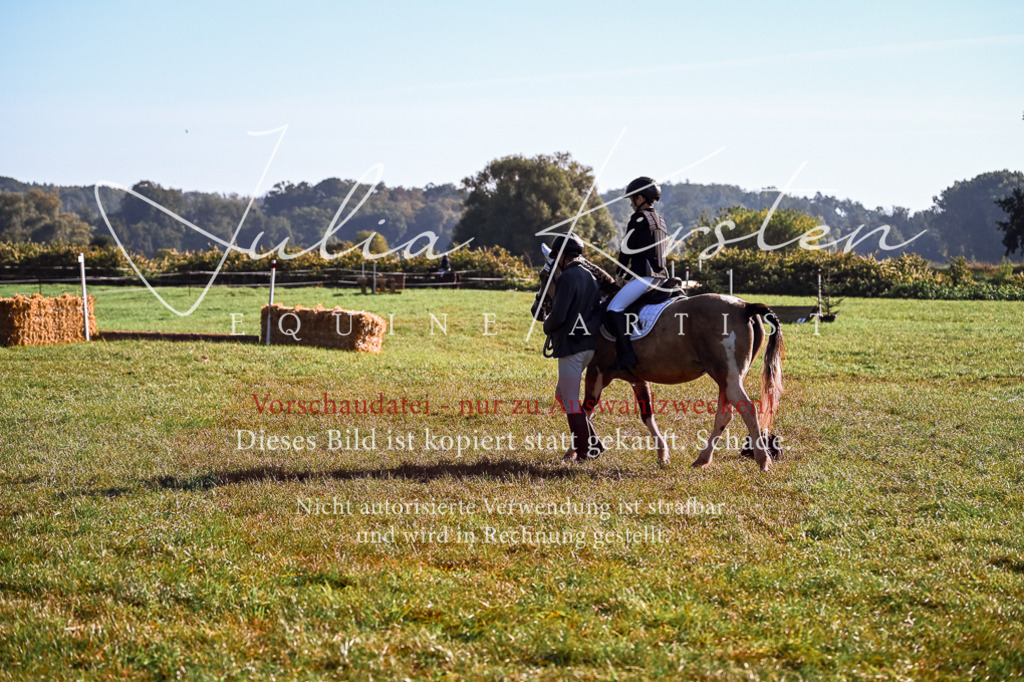 DSC_0301 | Pferde- und Turnierfotografie in Westsachsen. Pferdeportraits, Auftragszeichnungen und intuitive Kunst.