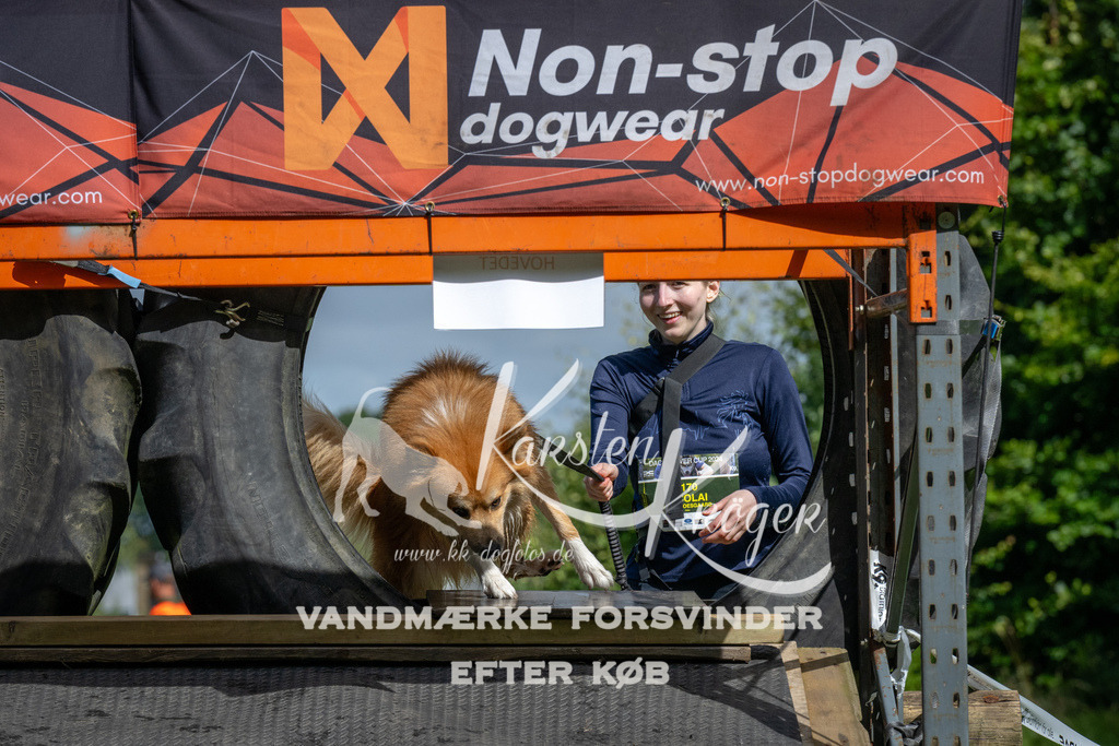 1134_ZZ92567 | kk-dogfotos