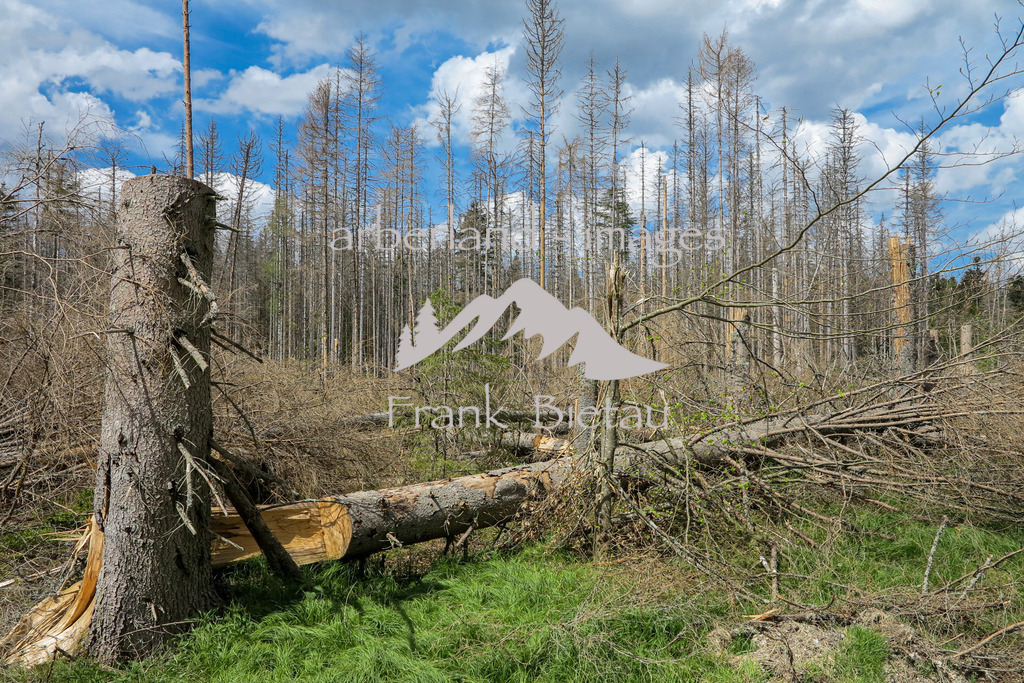 IMG_1997 | Medien- Sport- Entertainmentfotos