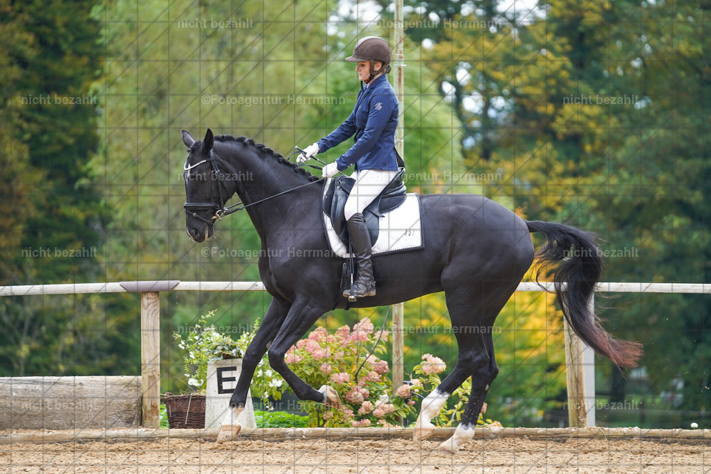 20221008-FAH01003 | Diessen am Ammersee, 2022, Dressur- und Springturnier, Reitsportbilder, Turnierfotografen Bayern, Pferdefotografen, Fotoagentur Herrmann, Turnierbilder