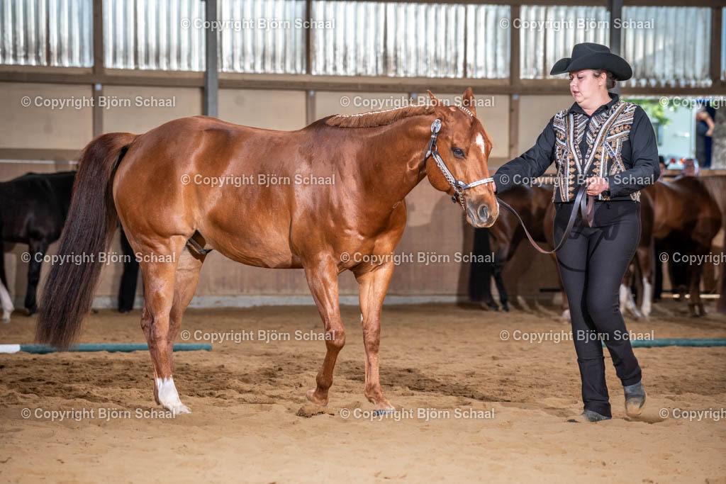 SBS09655 | BS-foto