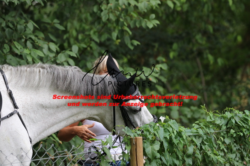 IMG_2728 | lmwpictures - Realisiert mit Pictrs.com