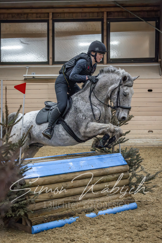20260222-_3LI0977 | Tierfotografie Pferde, Hunde, Katzen, Haustiere.
Turnierfotografie Reitturniere, Reiten, Springreiten, Dressur in Hanau, dem Main-Kinzig-Kreis und dem Rhein-Main- Gebiet um Frankfurt