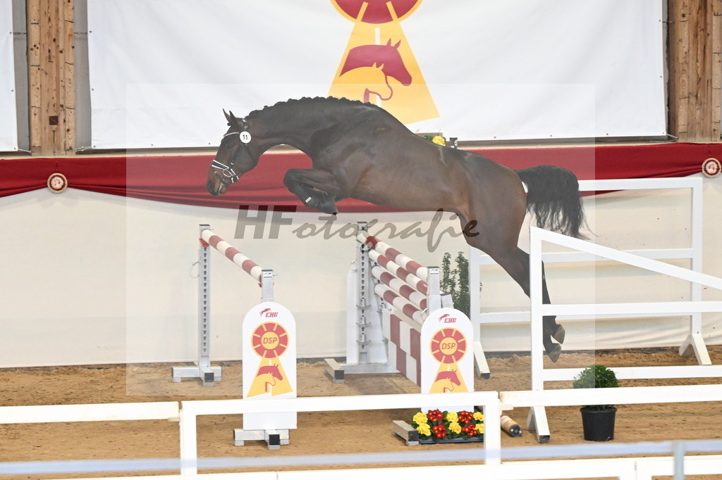 Kat.-Nr. 11 v. Conthargos_Schlamminger_3261572 | hf-fotografie - Realisiert mit Pictrs.com