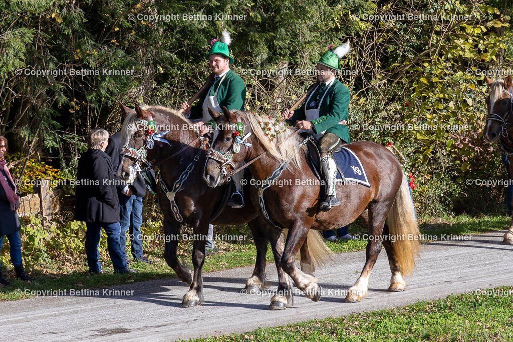 LBT24-534 | foto-bettina-krinner - Realisiert mit Pictrs.com