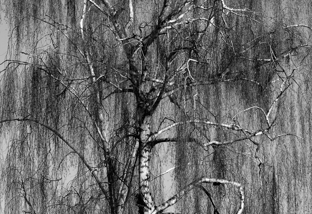 P1640798_b | Annaeherungen - Realisiert mit Pictrs.com