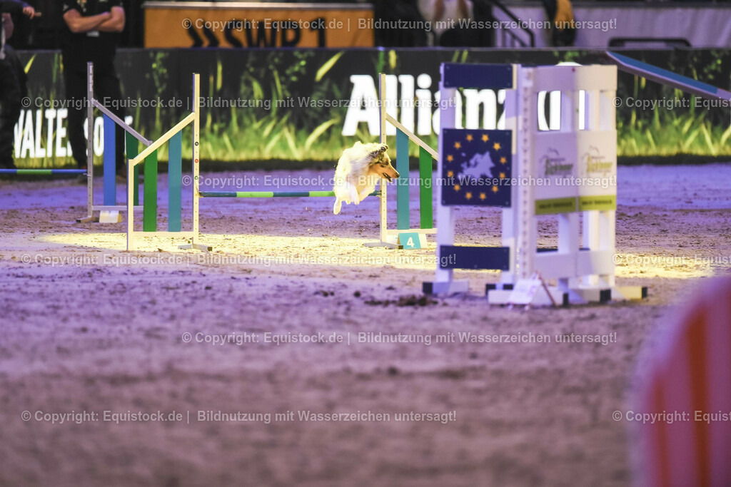 20231115_Dog-Agility_0228_TOMsPiC | Foto: Thomas Hartig