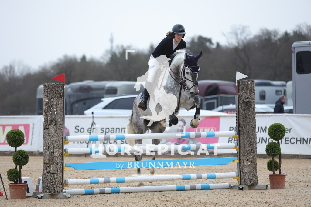 0P6A9299 | Willkommen bei Brunnmayr - Design & Fotografie – Ihrem Spezialisten für Reitturniere und Pferdeveranstaltungen in Oberösterreich, Salzburg und Bayern! Seit über 17 Jahren sind wir leidenschaftlich dabei.