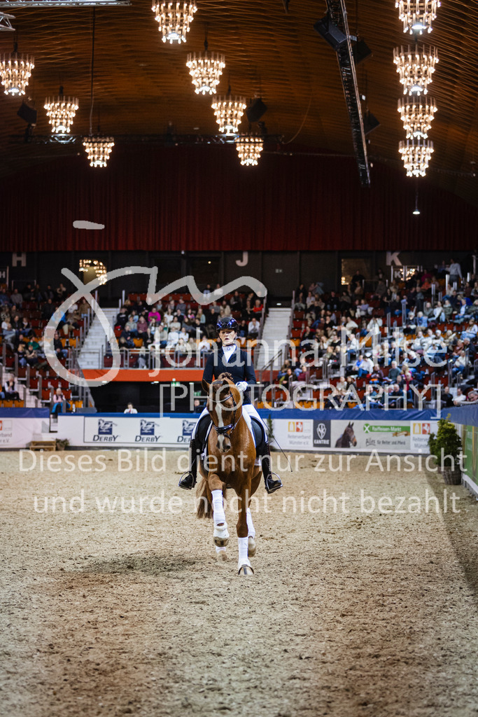 250108_Muenster_Hengstpräsentation-149 | Deine schönsten Turniermomente als professionelle Fotos! Entdecke hochwertige Pferdesport-Fotografie im Online-Shop. Jetzt Fotos finden & bestellen!