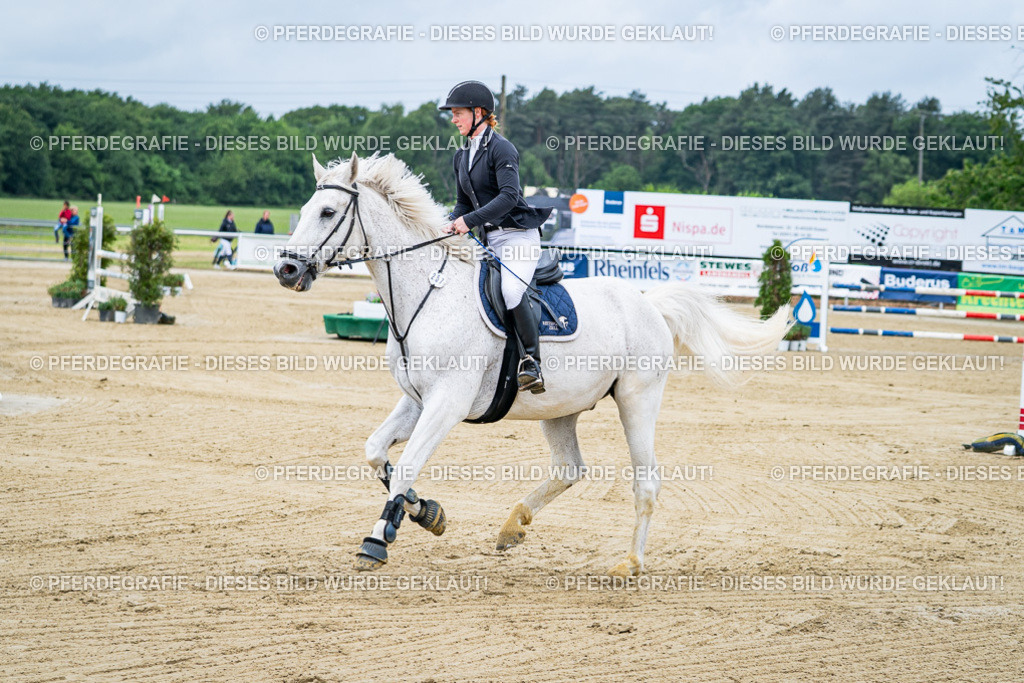 DSC03554 | Pferdegrafie