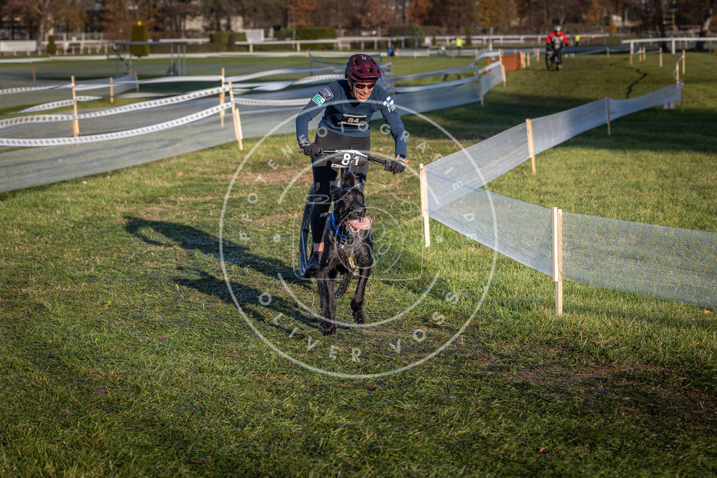 CaniXpix_0L8A3769 | Hundefotografie, Tierfotograf, Pfotenfotografie, Fotoshooting Hund, Hunde Portrait, Hundesport, Hundeportraits, Heideshooting, Hunde, Sportfotograf, Hundefotograf, Turnierhundsport, THS,  - Realisiert mit Pictrs.com