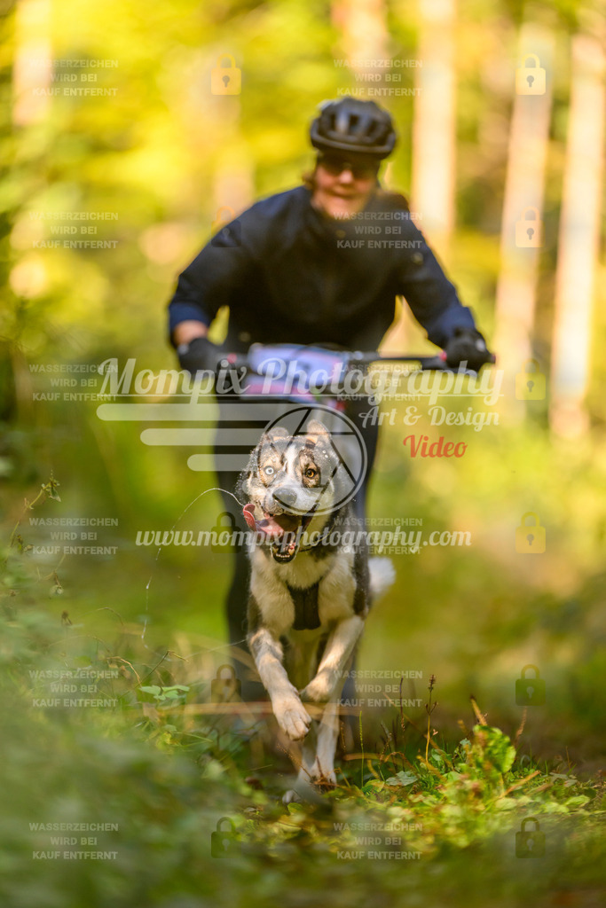 MompixPhotography_Yens2025_B2-81 | PayLife