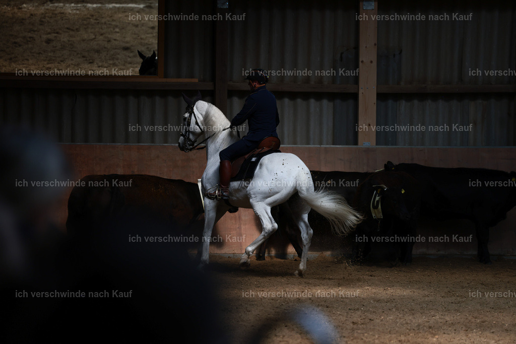 Masterclass_stoibphotography_C2_L7428.JPG | working equitationturnier fotograf videograf stoibphotography marixx film working equitation deutschland reitsport turnierfotografie eventfotografie equestrian events