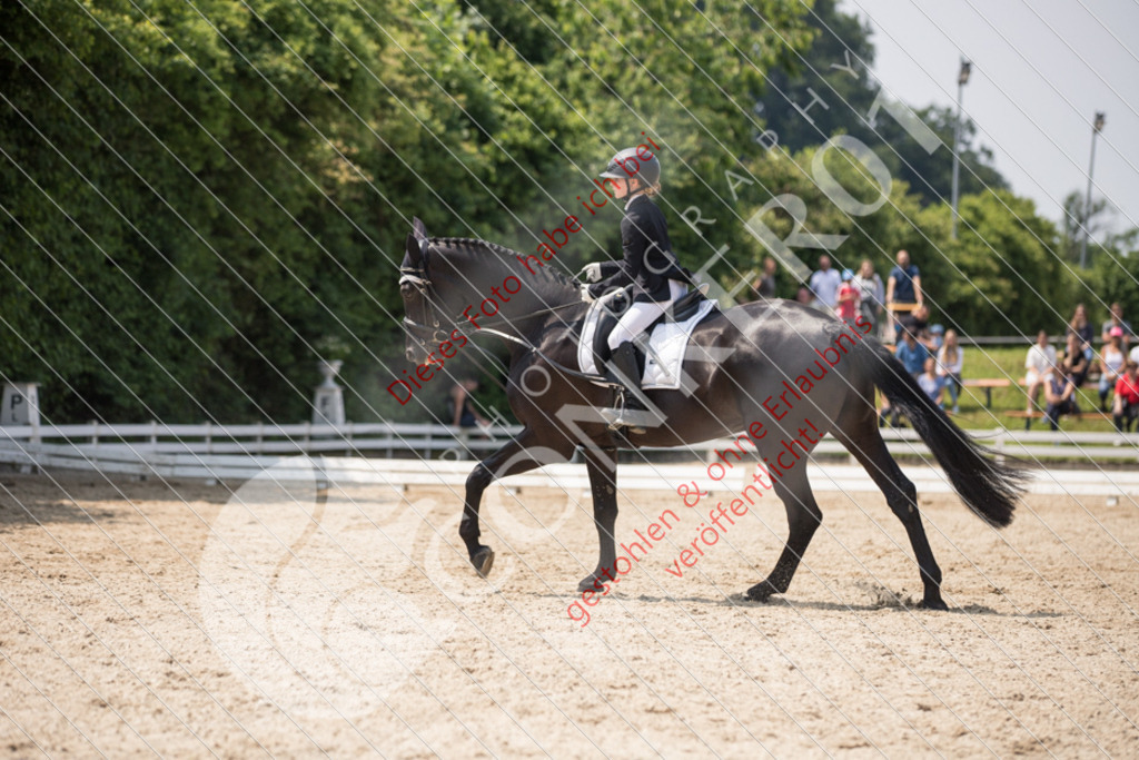 IMG_3927 | Sport-, Event- und Tierfotos in Profiqualität. Einfach auswählen, bestellen und herunterladen. Dein Moment – perfekt festgehalten.