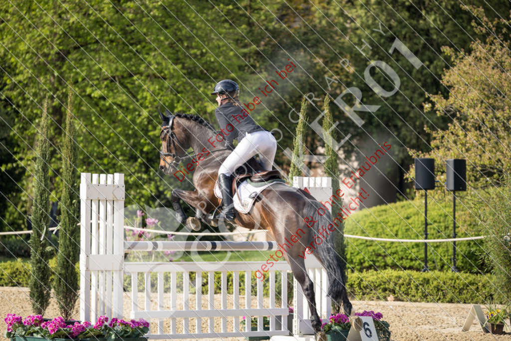 CON_0136 | Sport-, Event- und Tierfotos in Profiqualität. Einfach auswählen, bestellen und herunterladen. Dein Moment – perfekt festgehalten.