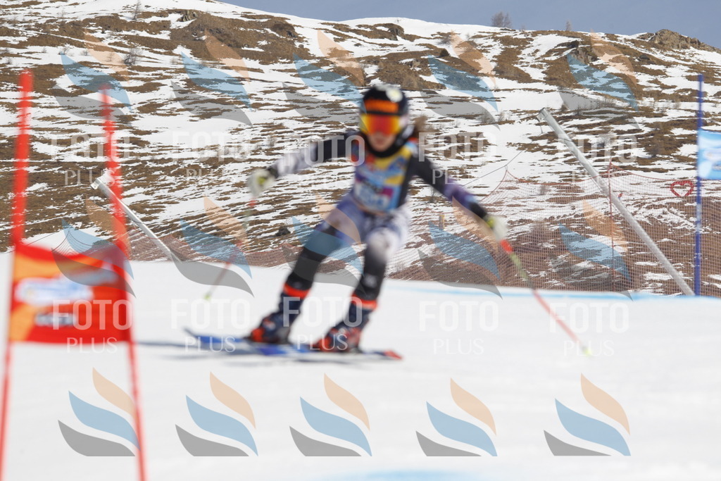 _U3G0376 | holidayphoto