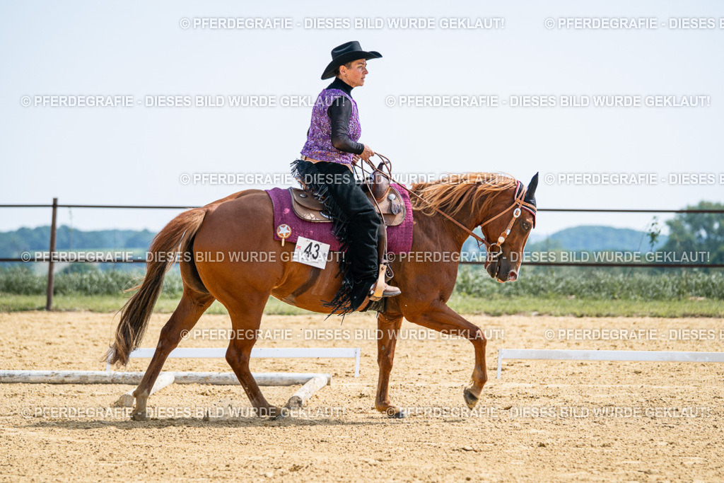 DSC00271 | Pferdegrafie