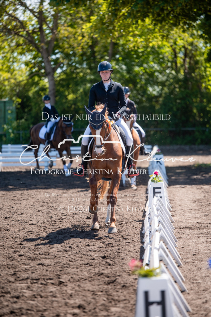 DSC_6431 | Christina-Kleuver