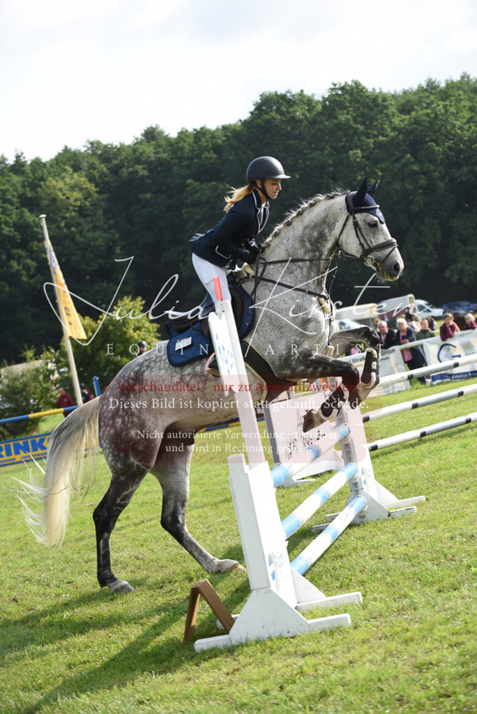 DSC_8759 | Pferde- und Turnierfotografie in Westsachsen. Pferdeportraits, Auftragszeichnungen und intuitive Kunst.
