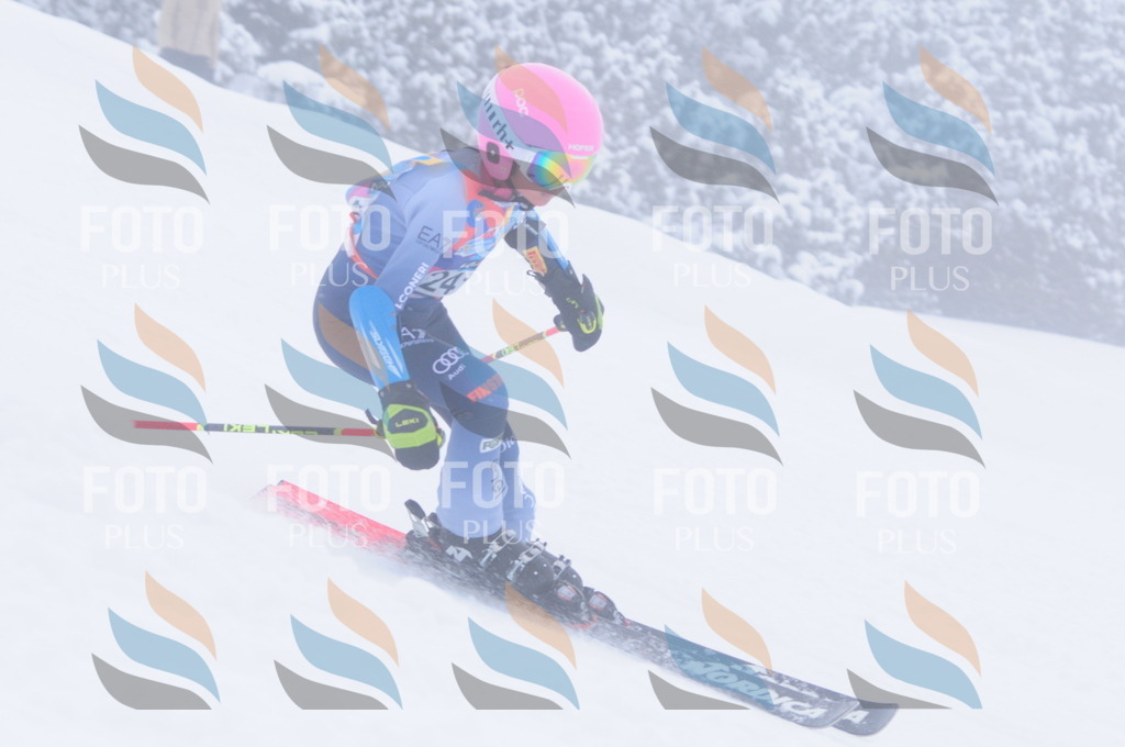 C2533 | holidayphoto