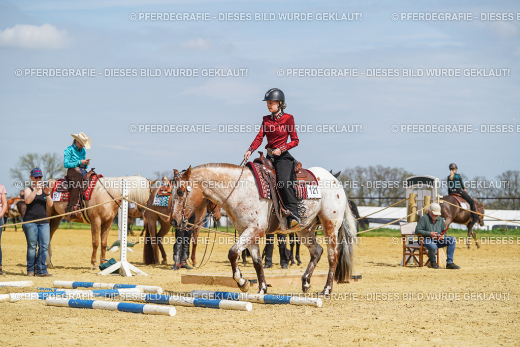 DSC04440 | Pferdegrafie