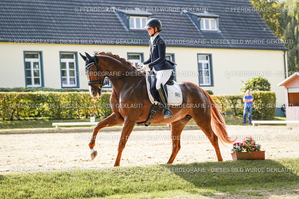 DSC07652 | Pferdegrafie