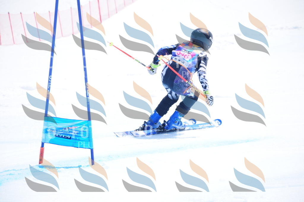 DSC_7094 | holidayphoto