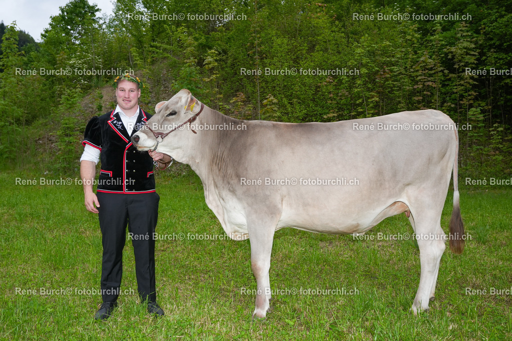 Wicki Joel mit Rind | René Burch leidenschaftlicher Fotograf aus Kerns in Obwalden.  Hier finden sie Sport, Landschaft und Natur Fotografie.
 - Realisiert mit Pictrs.com