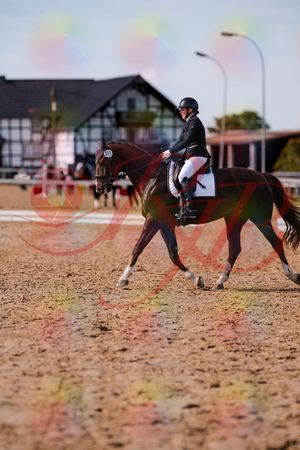 2026_10_03_Siefer-Hof_132607_Z81_79030044 | Professionelle Reitsport-, Turnier- und Eventfotografie von Robert Broda. Galerien mit ausgewählten und bearbeiteten Bildern direkt online ansehen und bestellen.