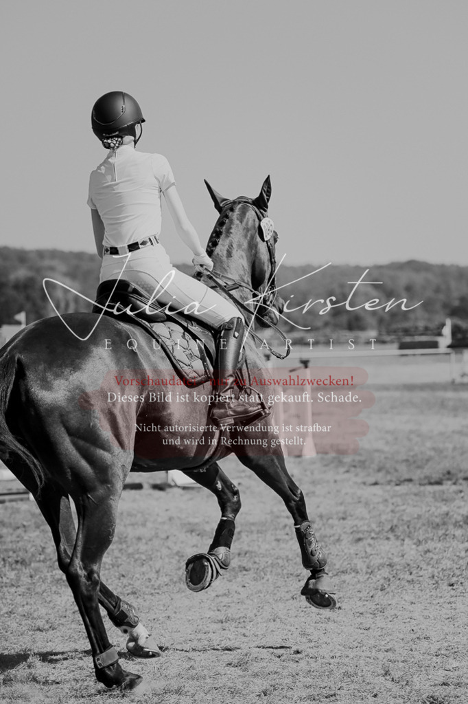 DSC_9663 | Pferde- und Turnierfotografie in Westsachsen. Pferdeportraits, Auftragszeichnungen und intuitive Kunst.