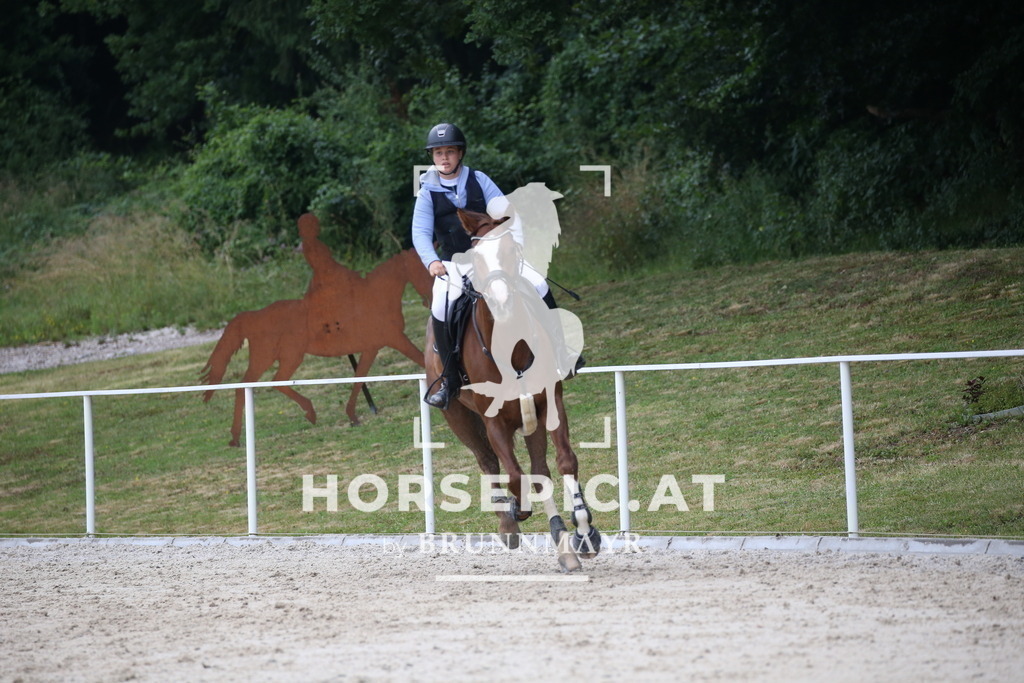 DL2Q2855 | Willkommen bei Brunnmayr - Design & Fotografie – Ihrem Spezialisten für Reitturniere und Pferdeveranstaltungen in Oberösterreich, Salzburg und Bayern! Seit über 17 Jahren sind wir leidenschaftlich dabei.