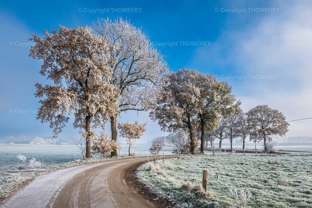 _1019913 | thowehey - Realisiert mit Pictrs.com