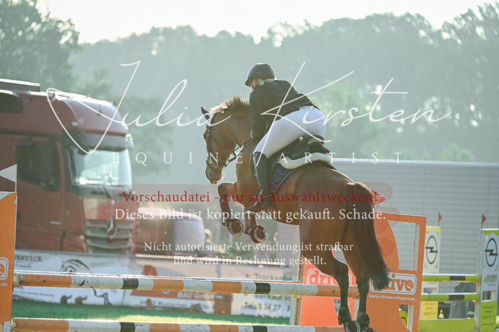 DSC_3910 | Pferde- und Turnierfotografie in Westsachsen. Pferdeportraits, Auftragszeichnungen und intuitive Kunst.