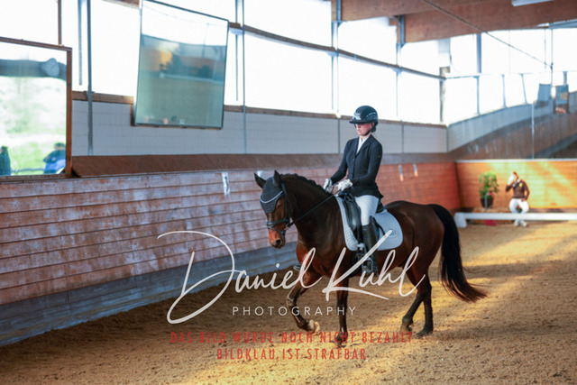 _62_7956 | Turniersportfotografie; Pferdefotografie; Dressurfotografie